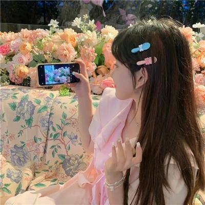 警花燕子